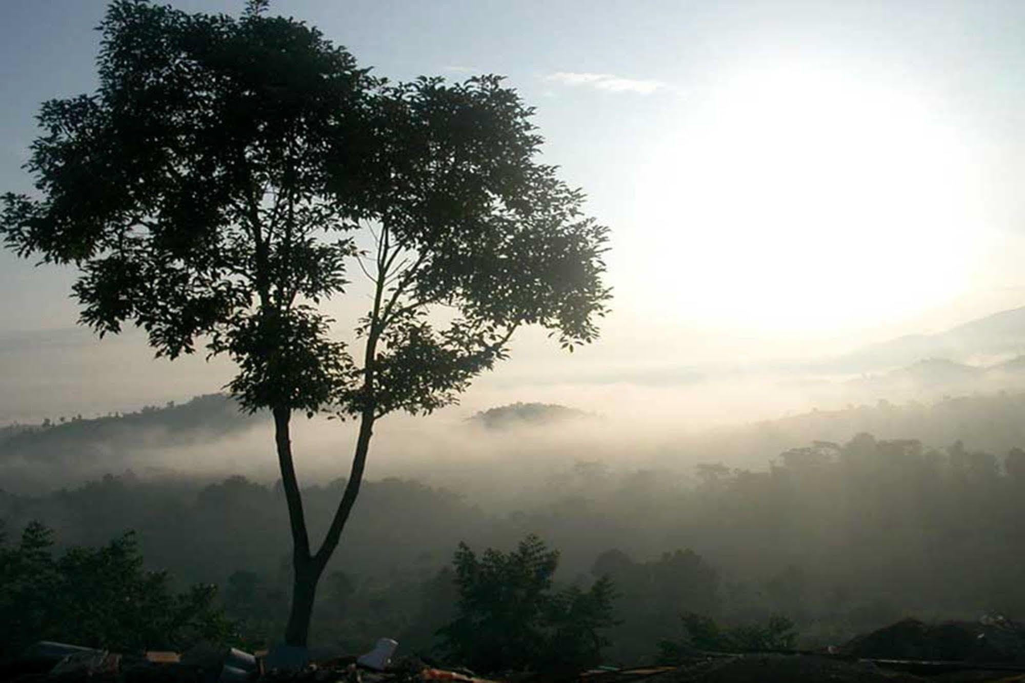 Chiang Rai Valley Resort @Doi Hom Fha Mae Chan Exteriör bild